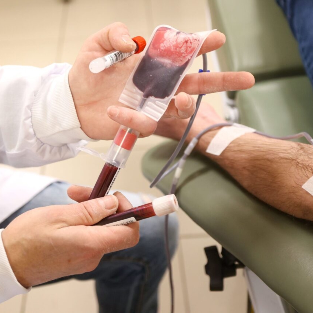 Hemocentro Regional de Maringá solicita doações de sangue