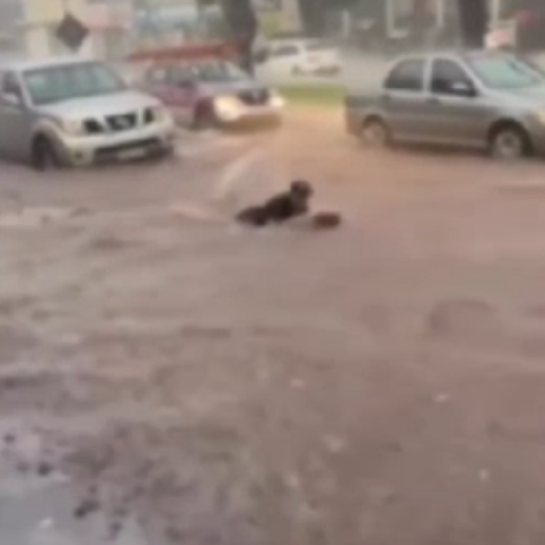 Homem surfa em enxurrada durante temporal em Maringá