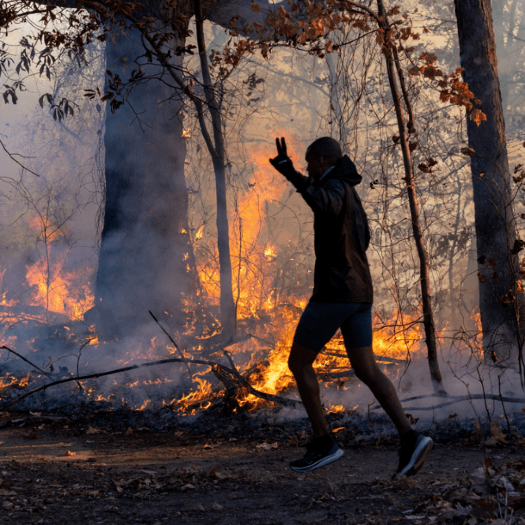 Incêndios florestais atingem Nova Jersey devido ao clima seco