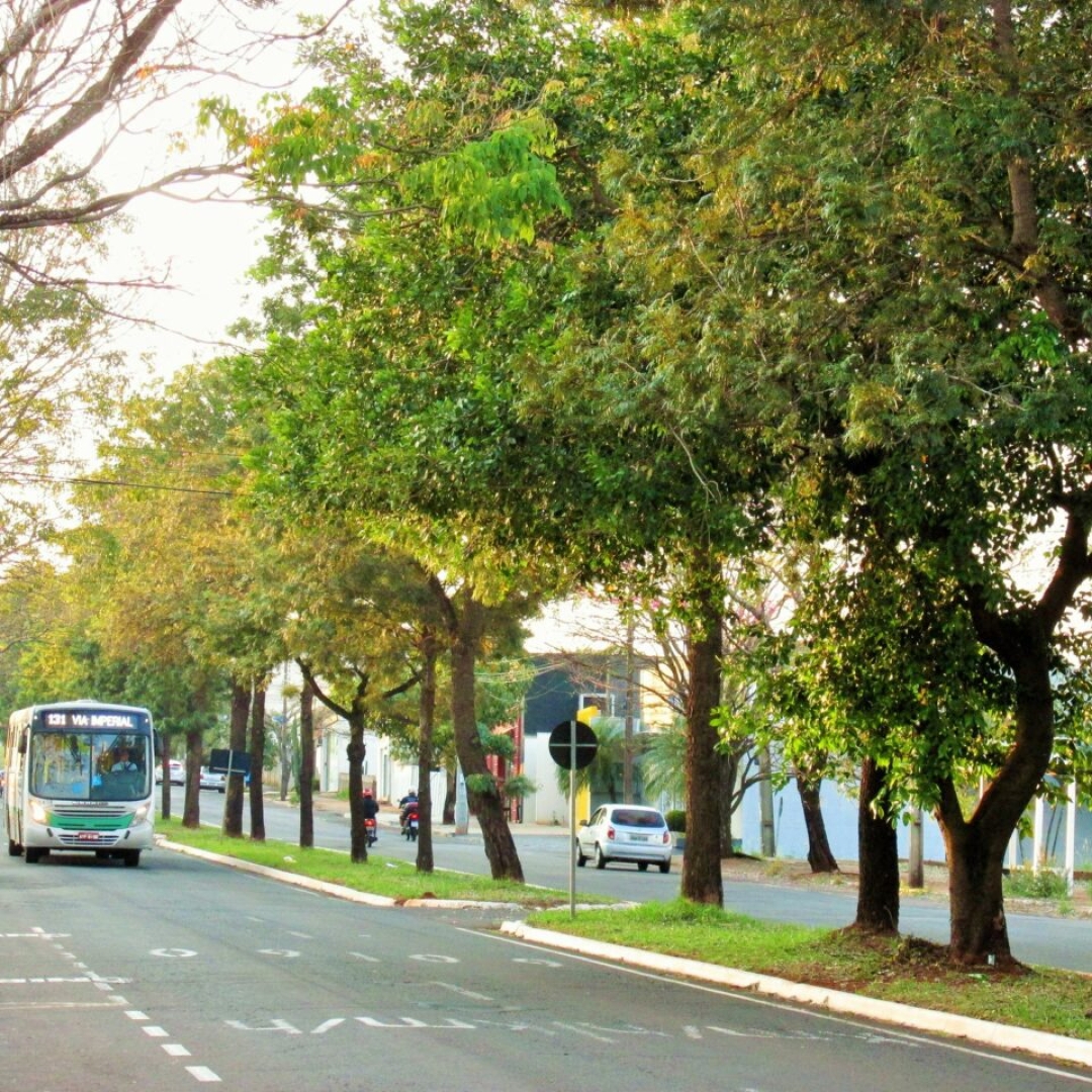 Previsão do tempo no Paraná e em Maringá neste sábado