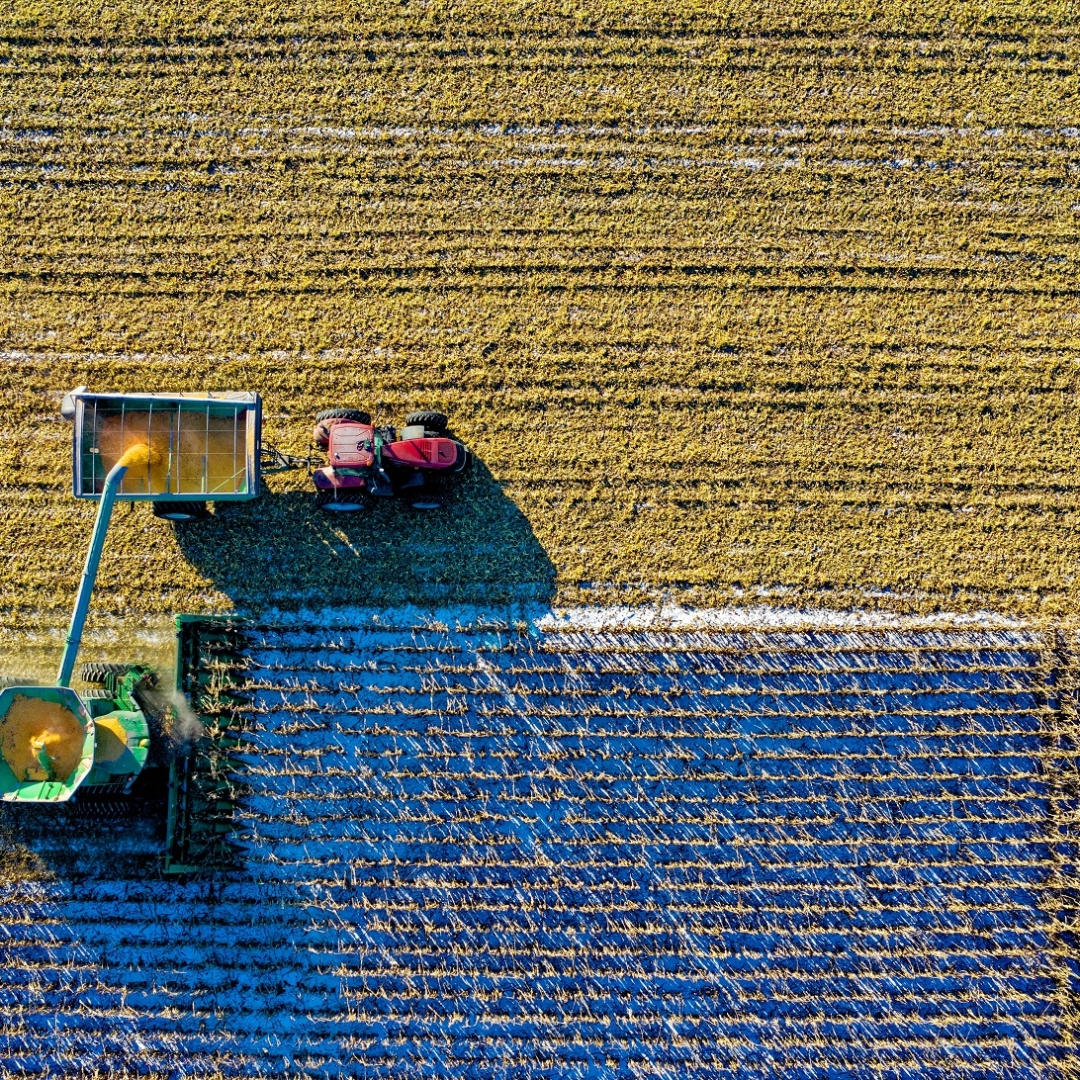 Mercado global de bioinsumos agrícolas deve triplicar até 2032, aponta estudo