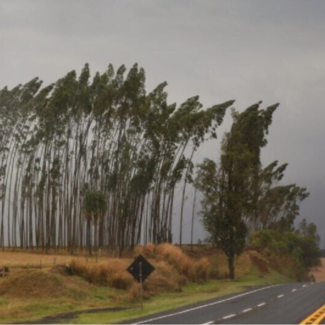 Alerta amarelo de vendaval para 243 cidades do Paraná