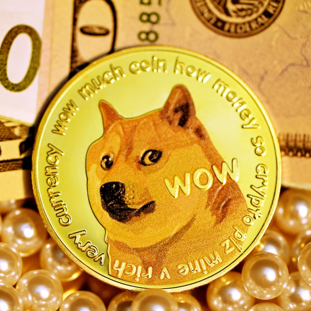 Dogecoin sobe após anúncio de Trump sobre Departamento de Eficiência Governamental