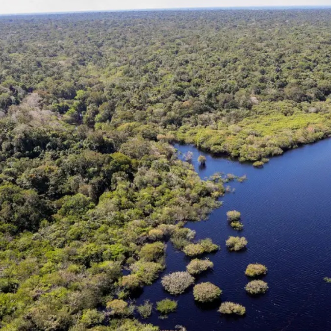 Joe Biden visita Amazônia e destina US$50 mi ao Fundo Amazônia