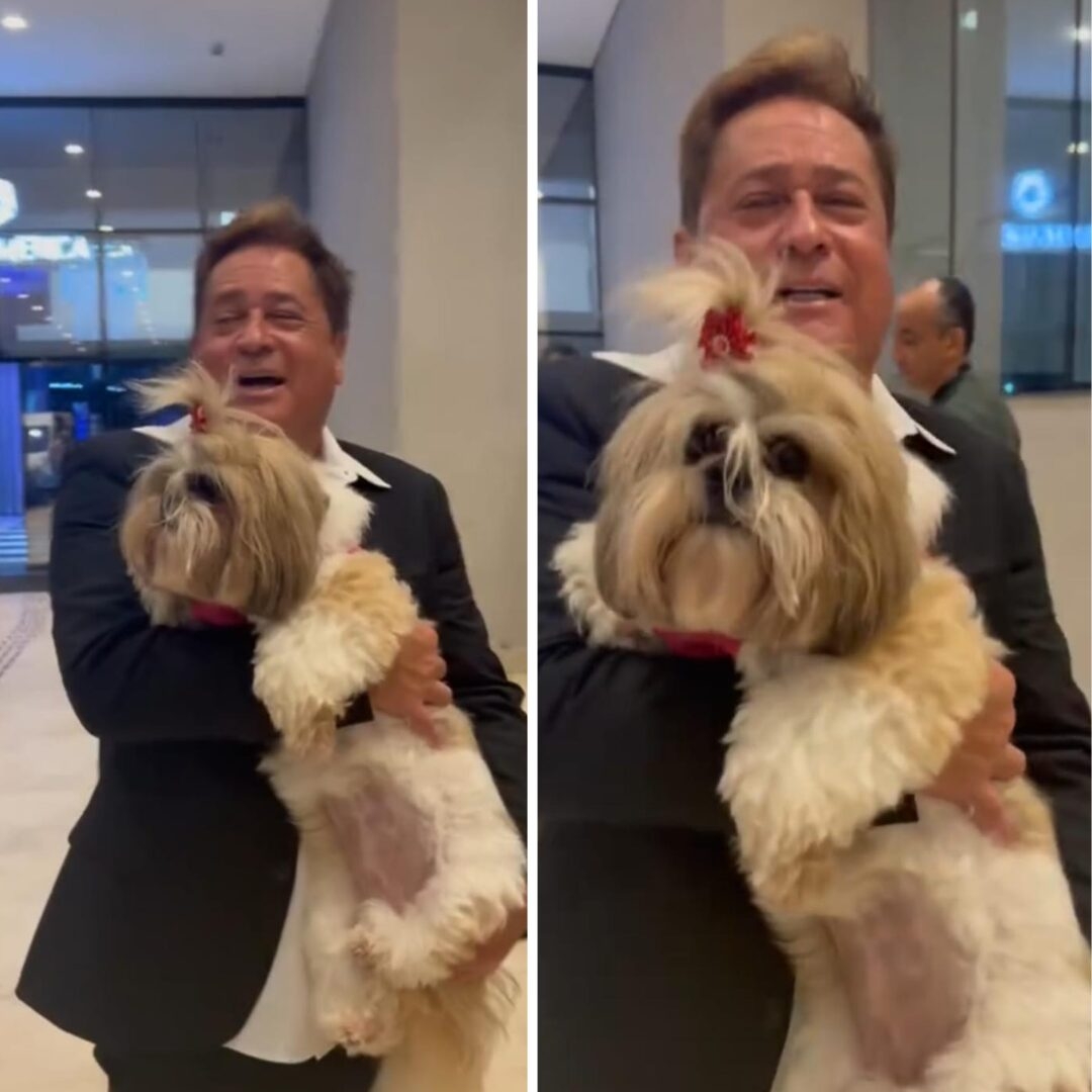 Cachorrinha de Maringá ganha colo e música do cantor Leonardo