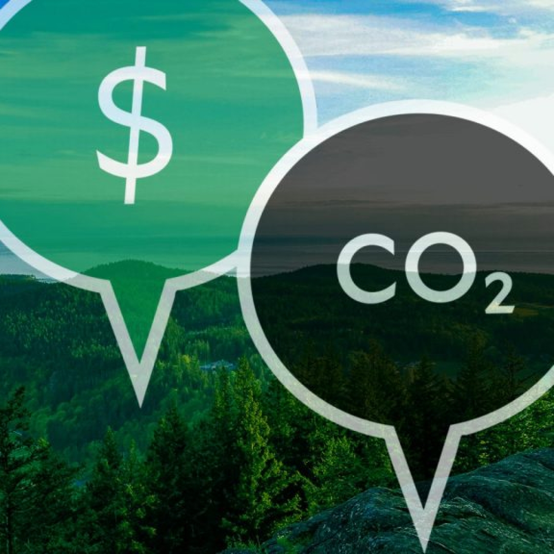 Regulamentação do mercado de carbono pode impulsionar projetos sustentáveis no Brasil