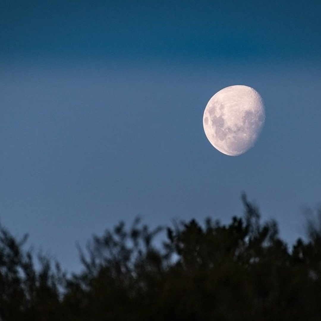 Horóscopo da Lua de Novembro