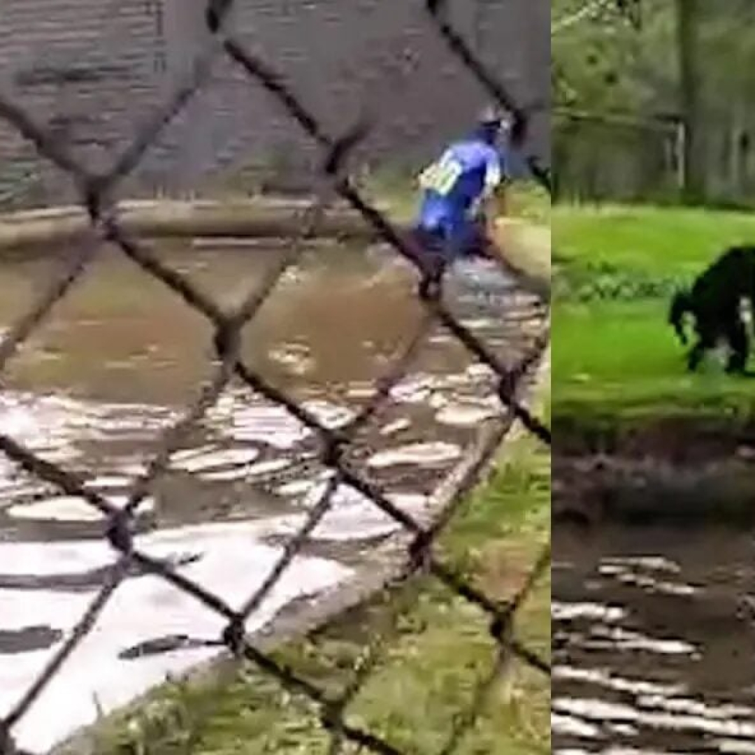 Homem invade áreas dos animais no Zoológico de Curitiba