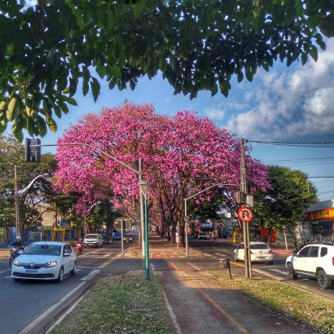 Terça-feira de calor no Paraná