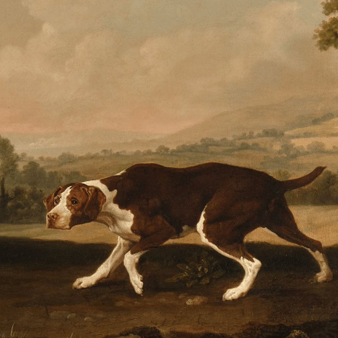 Pintura de cão de George Stubbs será leiloada pela Sotheby’s