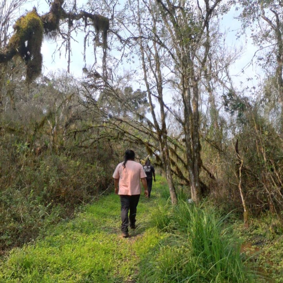 Governo do Paraná cria Rota Turística Caminho de Peabiru