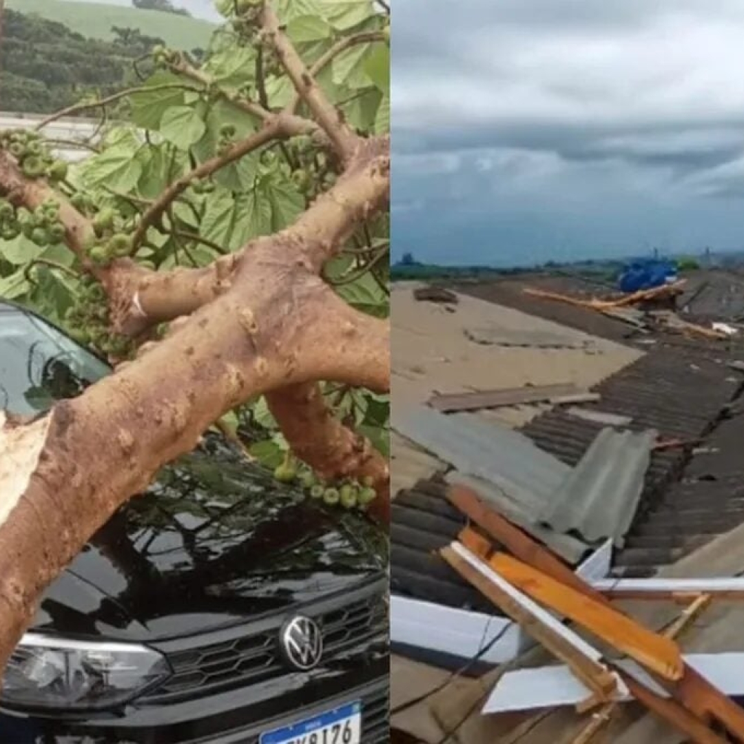 Temporal causa estragos em Nova Tebas