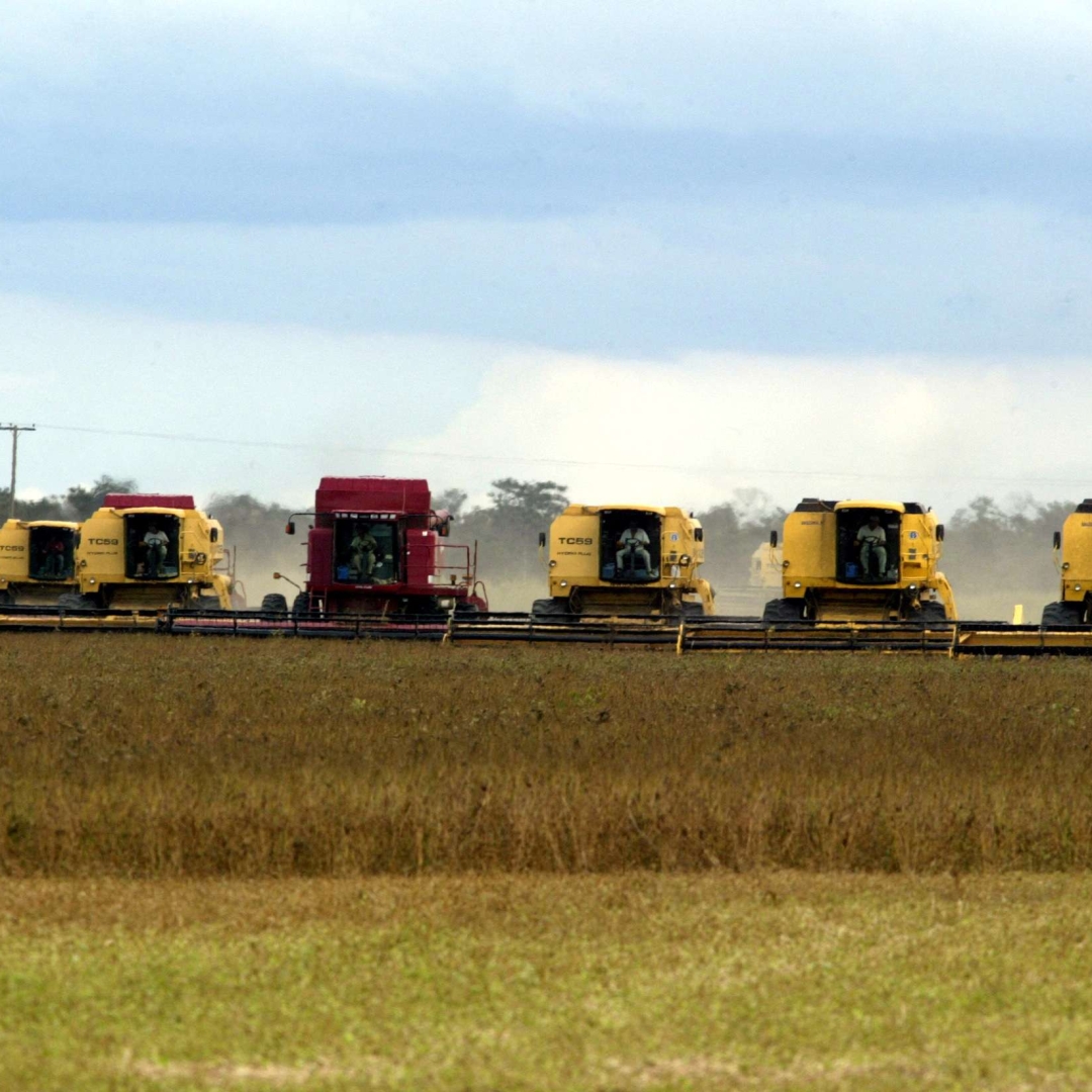 Período de chuvas traz benefícios para agricultura brasileira