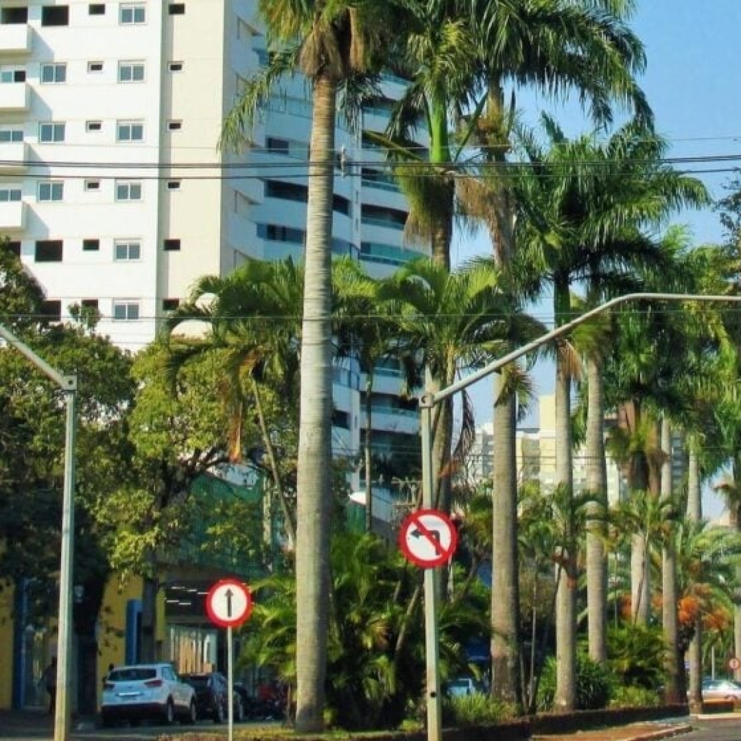 Previsão do tempo em Maringá, Paraná