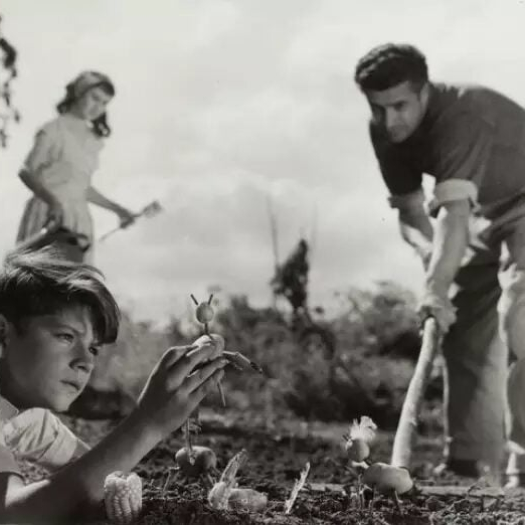 Mostra SAC exibe filmes clássicos na Cinemateca