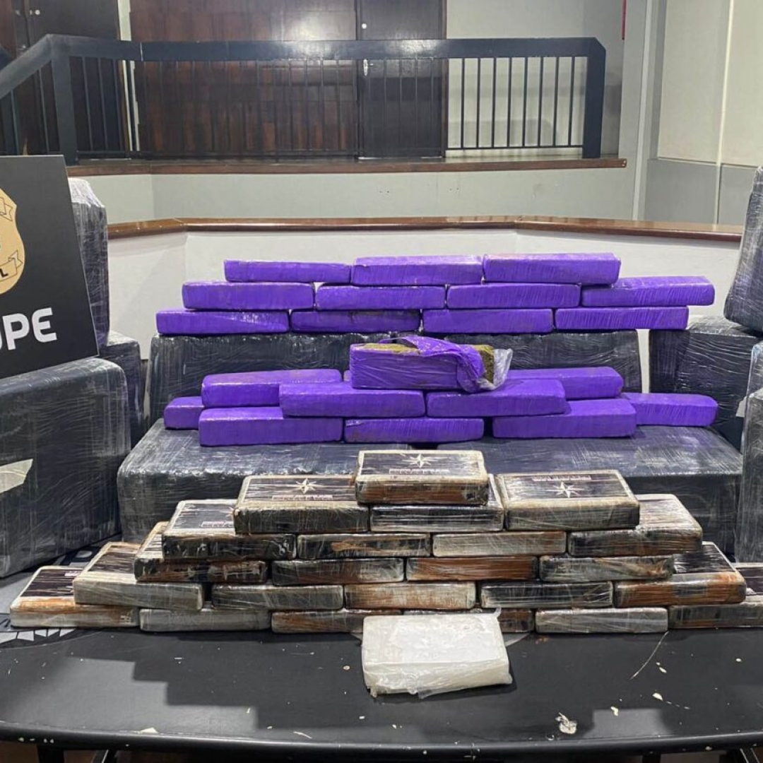 Polícia Civil apreende 275 kg de drogas no Paraná