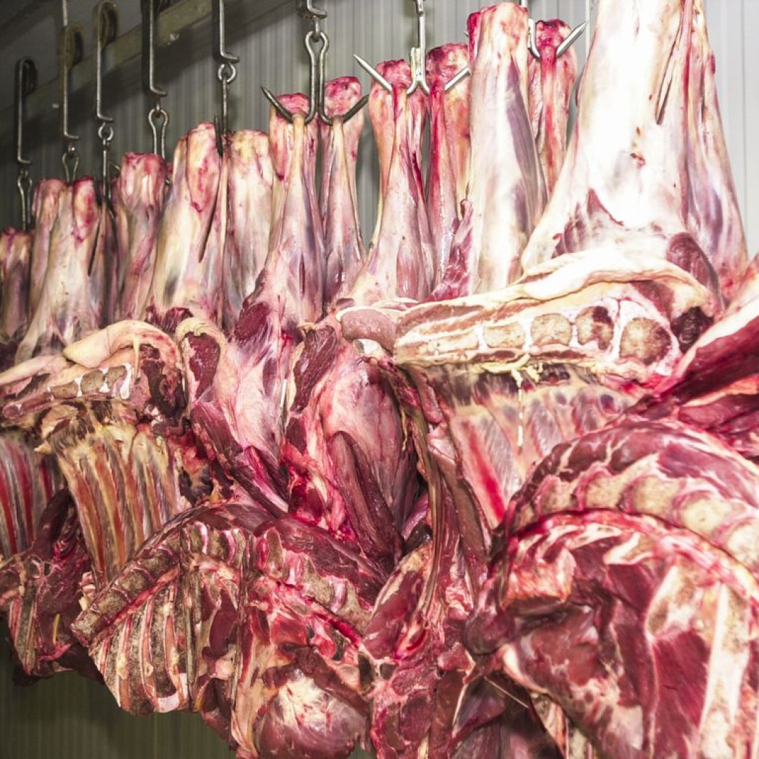 Carne bovina é o vilão da inflação em novembro, diz IBGE