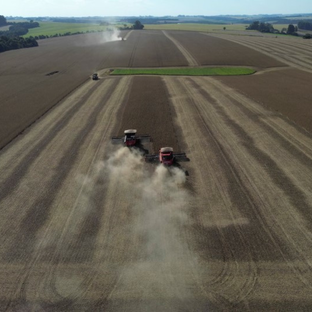 PIB do agronegócio deve crescer 2% em 2024, estima CNA