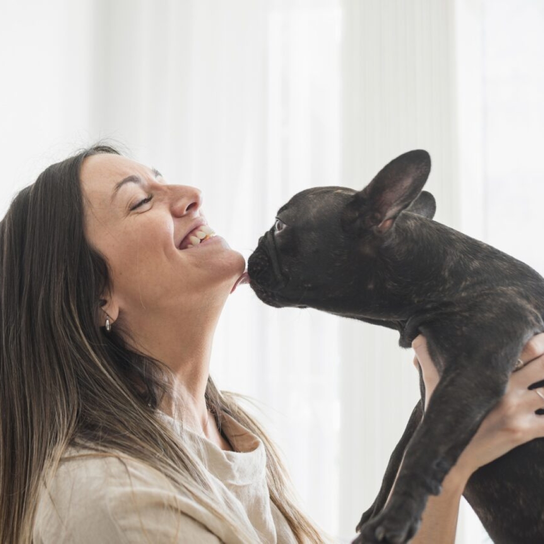 Os perigos dos lambeijos caninos