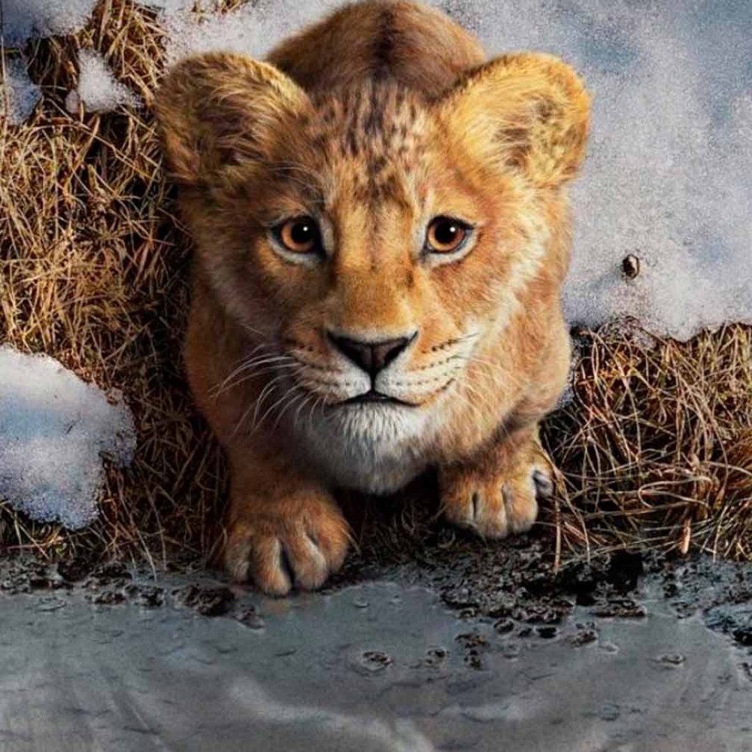 Disney lança Mufasa - O Rei Leão nos cinemas