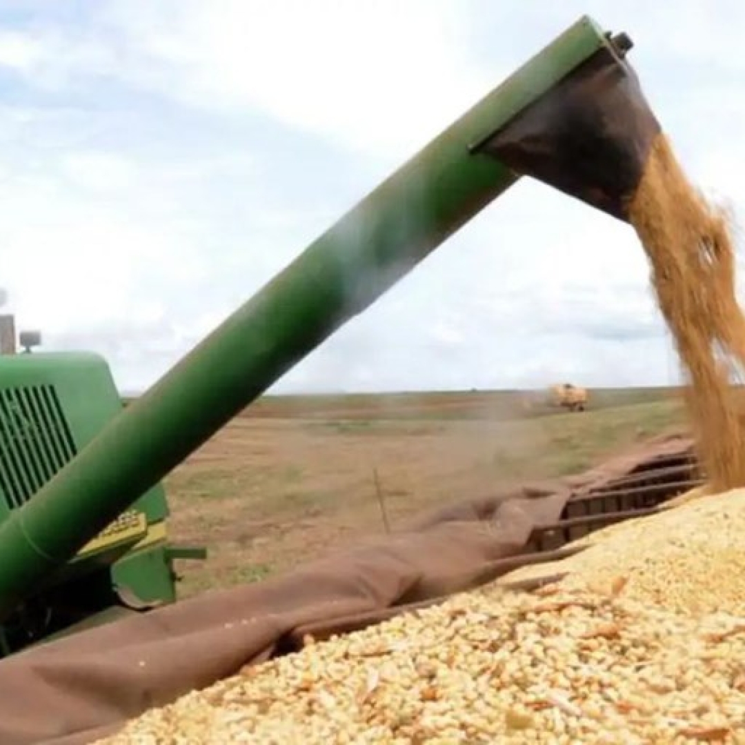 Aposta em investimento no agronegócio brasileiro para 2025