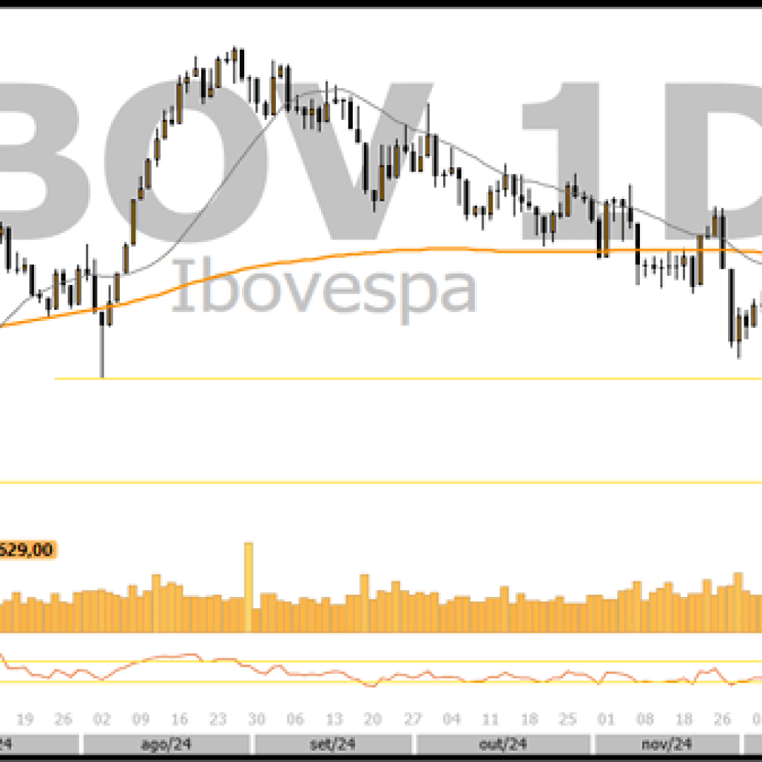 Análise do mercado financeiro - 26/12/2024