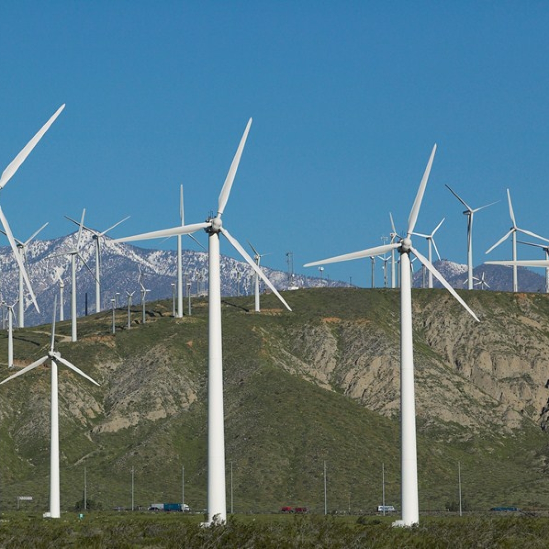 Criação de consórcio de energia eólica é aprovada pelo Cade