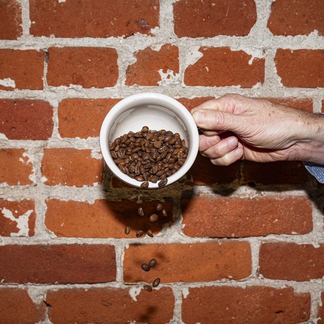 Preços do café podem aumentar devido às mudanças climáticas