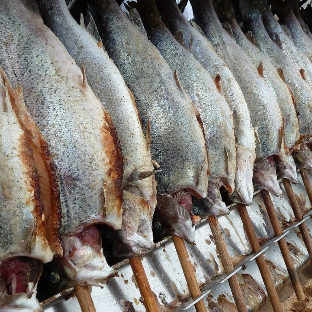 Bacalhau: Entenda por que ele não é um peixe específico