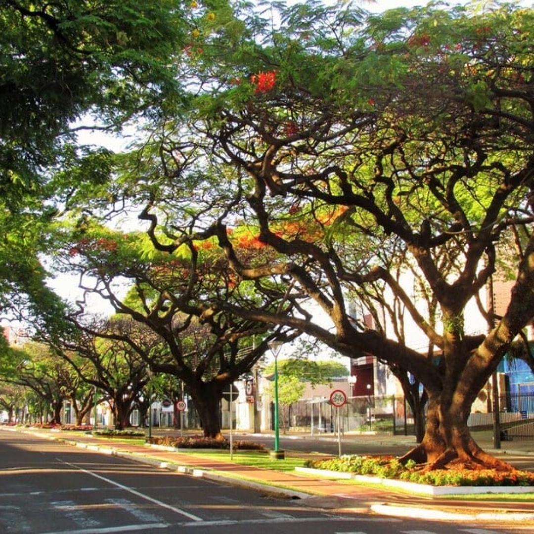 Previsão do Tempo no Paraná para 06/01/2025