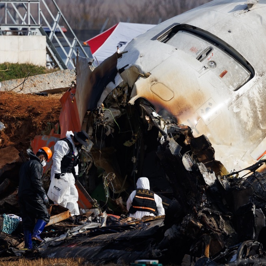 Penas de pássaros encontradas em motor de avião que caiu na Coreia do Sul