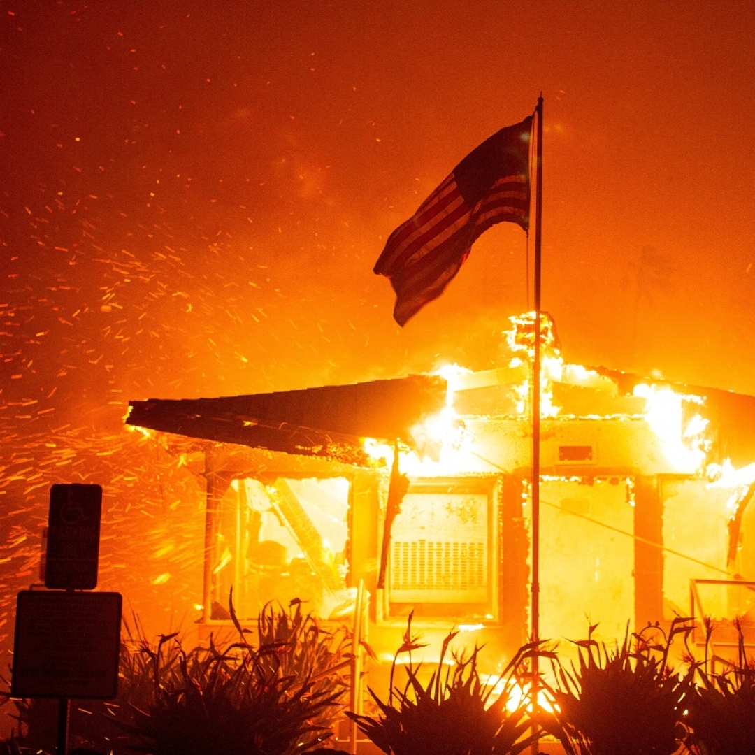 Incêndios florestais devastam a área de Los Angeles