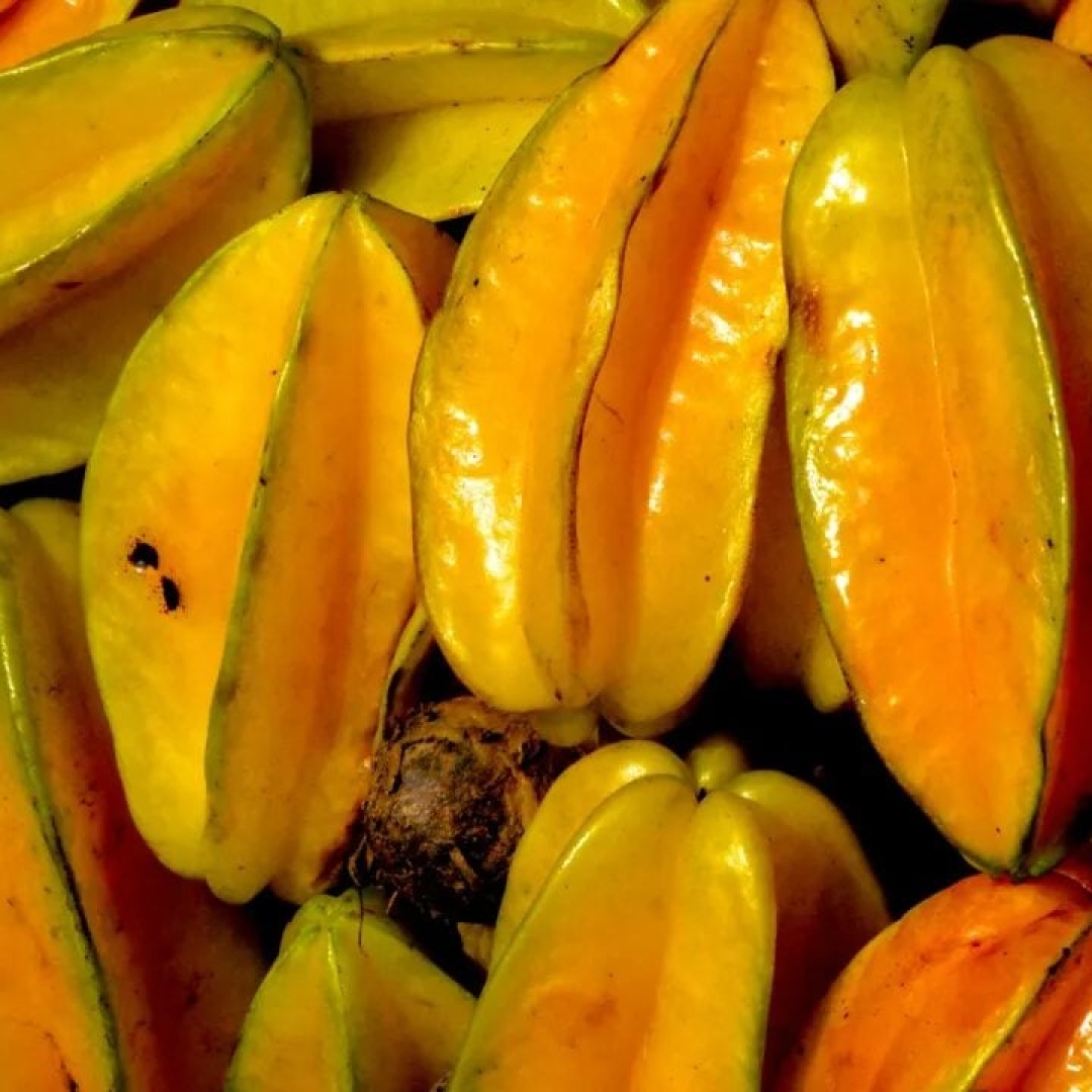 Conheça a carambola, fruta tropical rica em antioxidantes e potássio