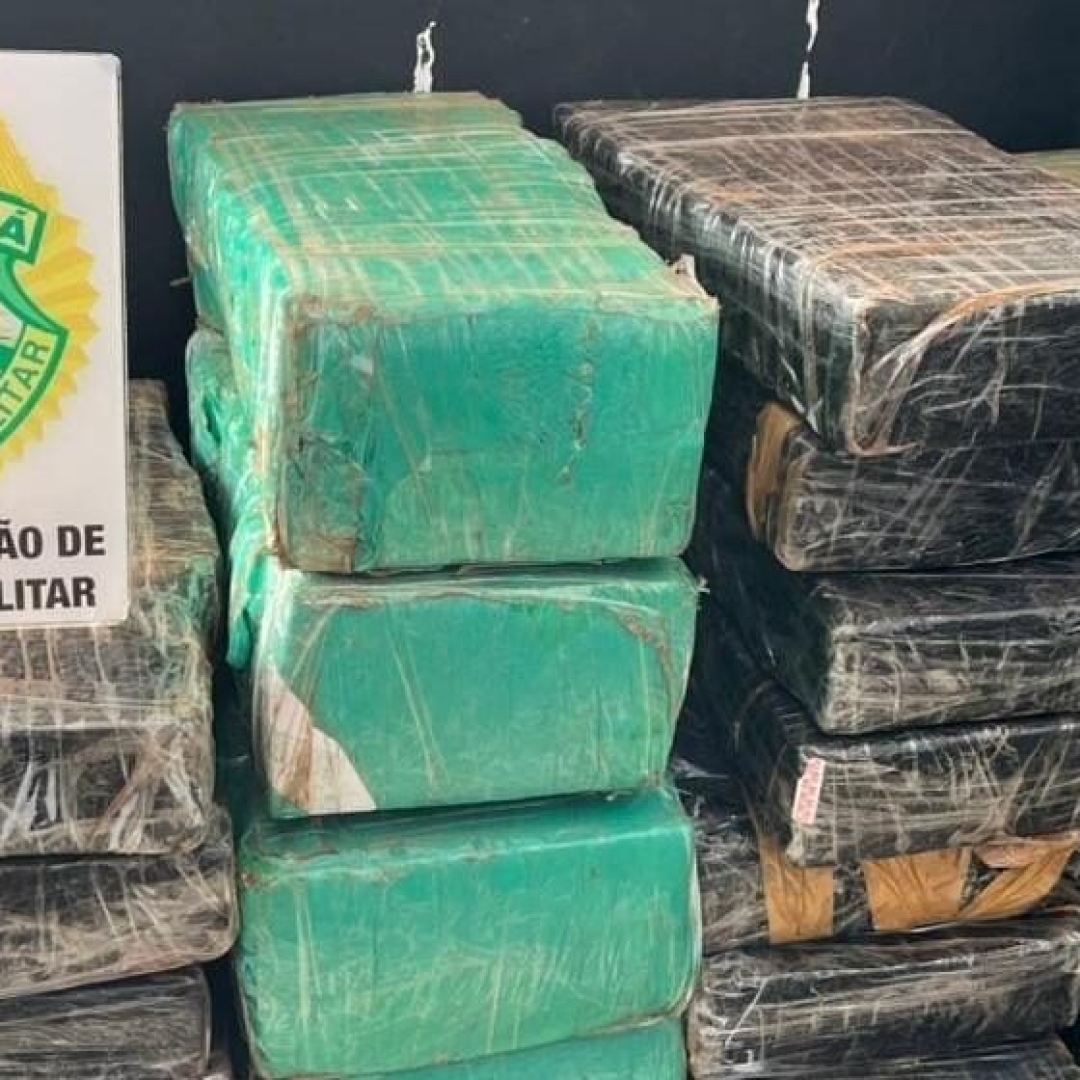 Polícia apreende 211 kg de maconha em área rural de Alto Piquiri