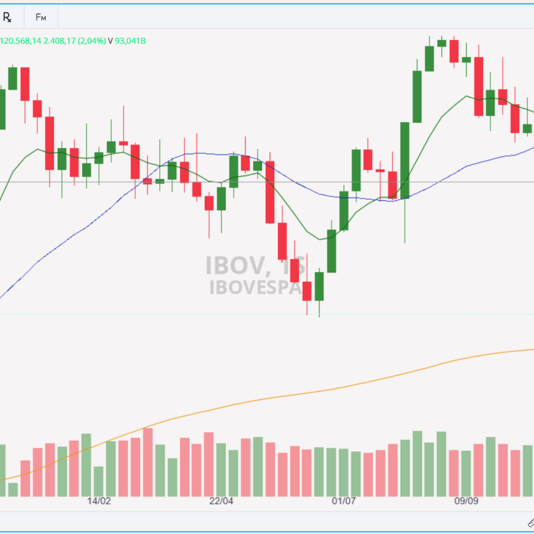 Ibovespa segue em tendência de baixa em janeiro de 2025