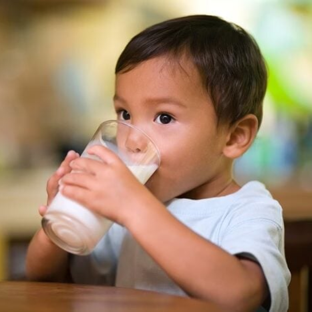 Lotes do suplemento infantil Nutramigen LGG proibidos pela Anvisa vencem este mês