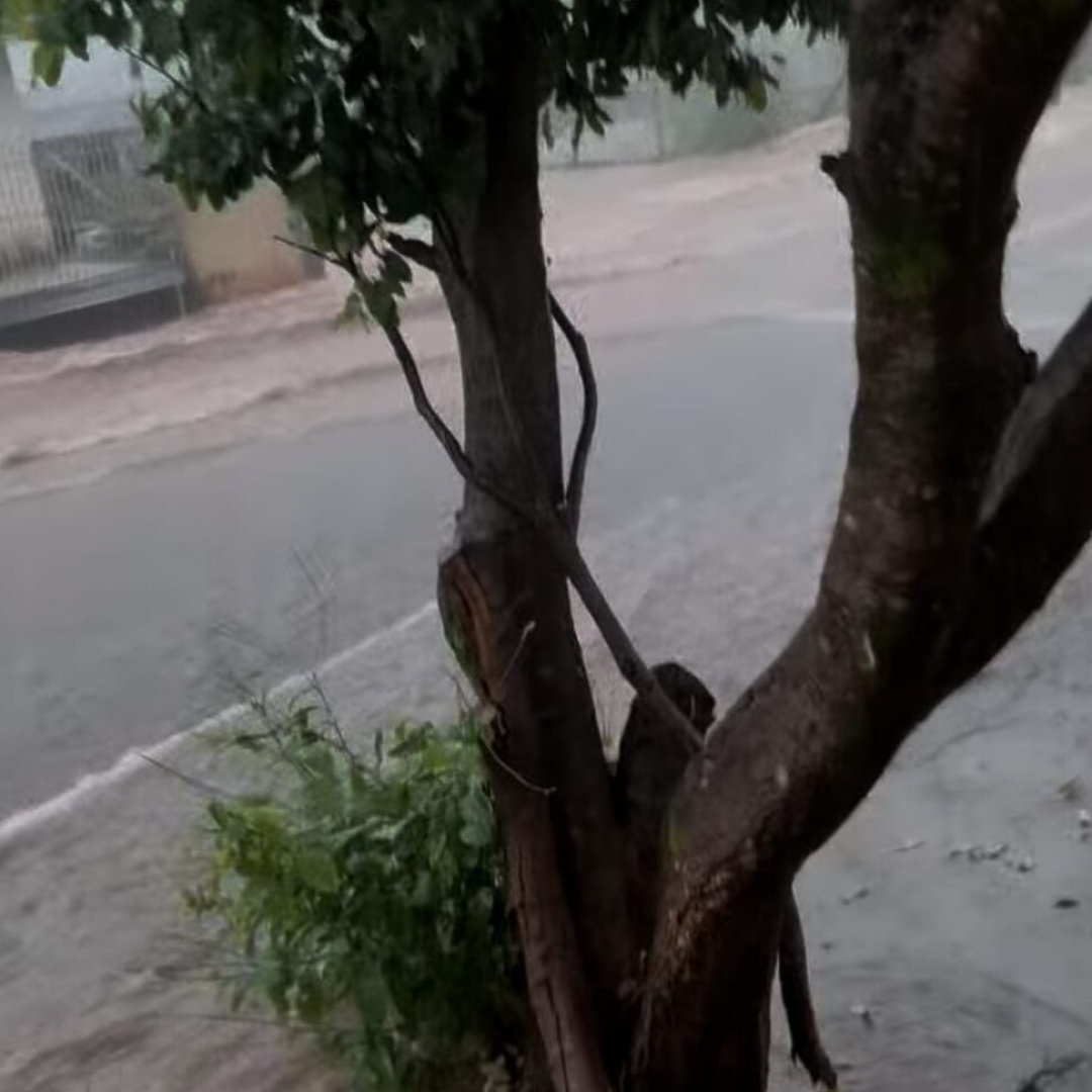 Chuva causa alagamentos em Maringá e Sarandi