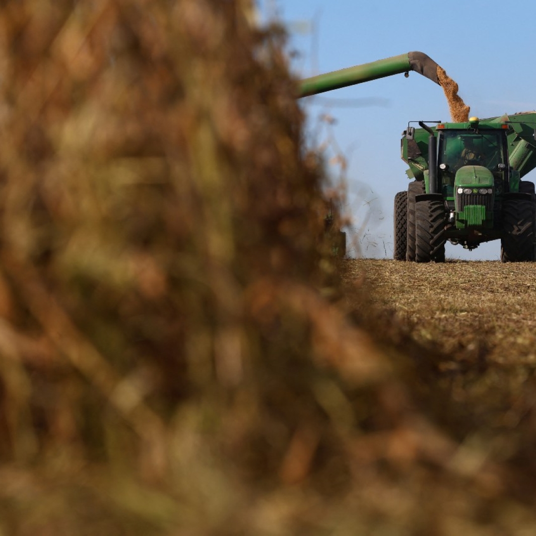 Retorno de Trump pode acentuar concorrência no agronegócio com Brasil