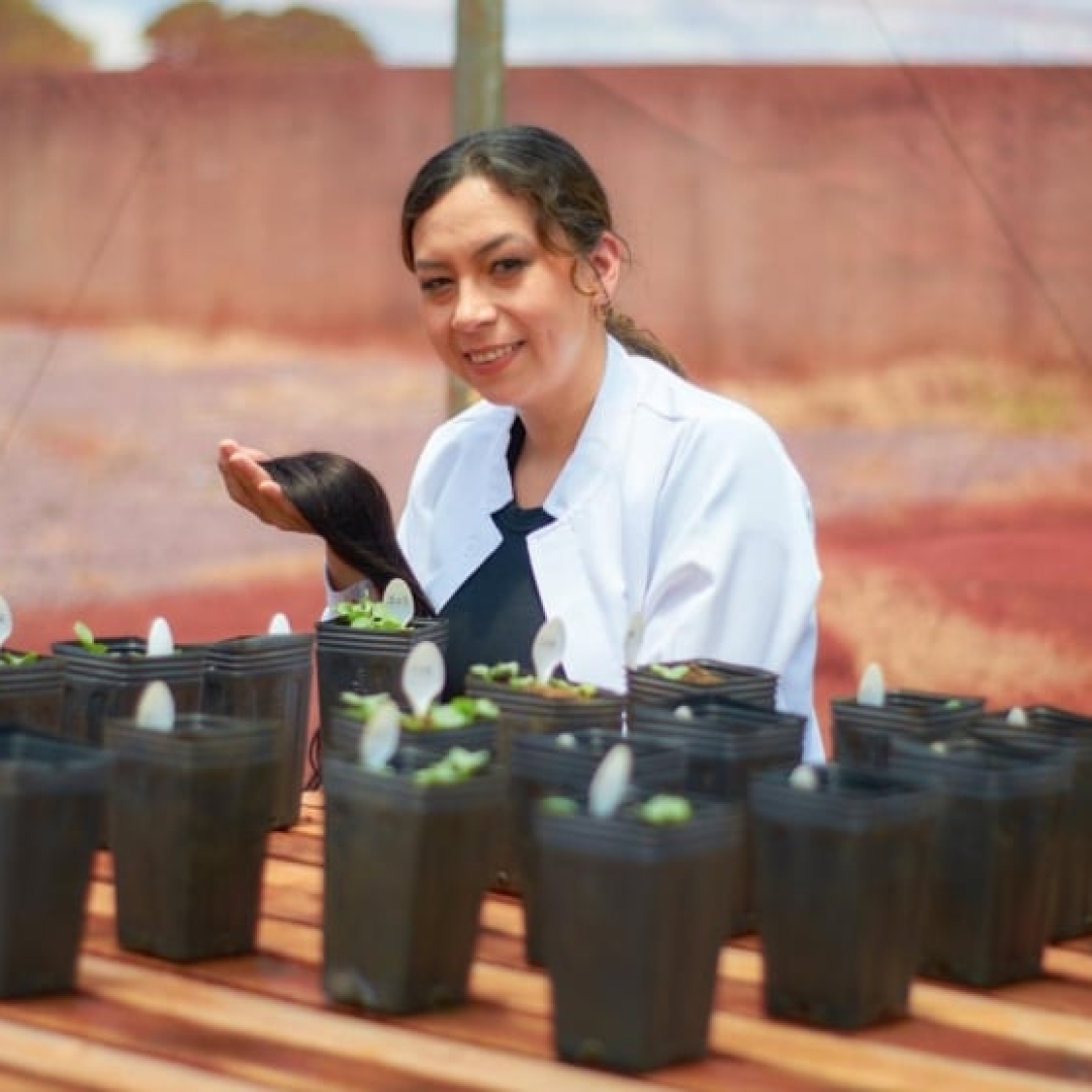 Pesquisa transforma cabelo humano em adubo para plantas