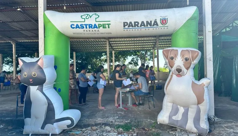 Prefeitura de Sarandi abre inscrições para castração gratuita de cães e gatos