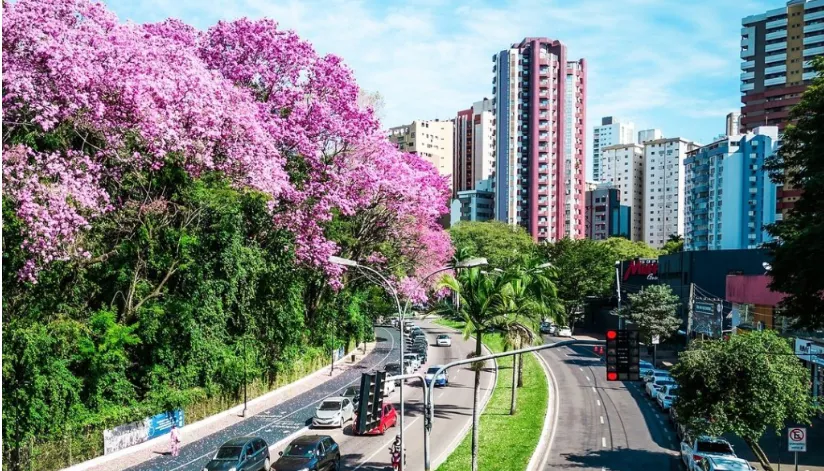 Comércio de Maringá terá mudanças no feriado da Proclamação da República