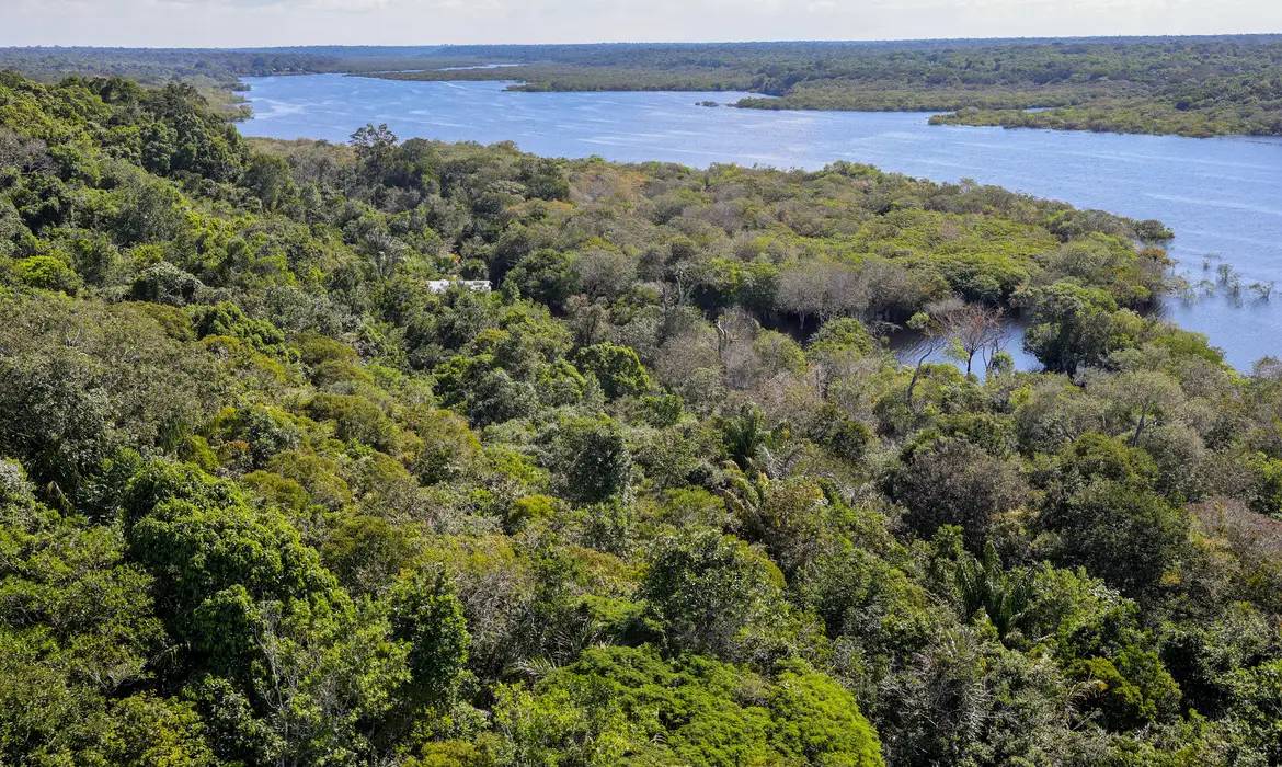 Violência armada na Amazônia é gerada por conflitos fundiários, aponta estudo