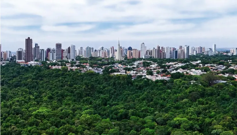 Previsão do Tempo em Maringá: Chuva e Temperaturas Amenas