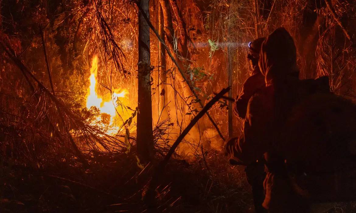 Área queimada no Brasil em 2024 é a maior dos últimos seis anos