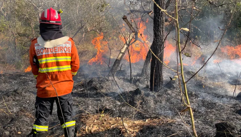 Corpo de Bombeiros do Paraná registra aumento de 10% nos atendimentos em 2024