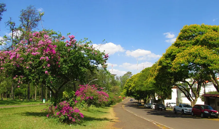 Previsão do Tempo para o Paraná e Maringá