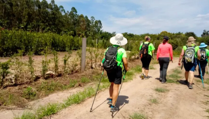 Caminhadas na natureza no Paraná têm início em 2025